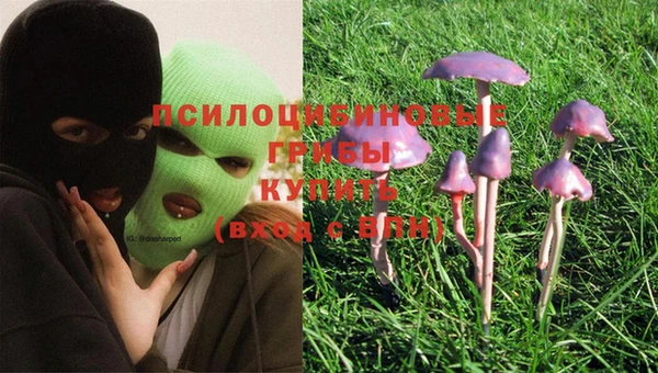 герыч Белокуриха
