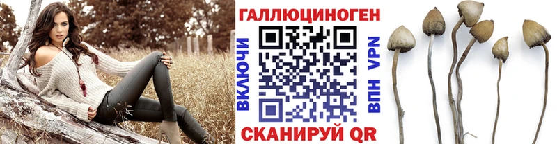 где продают наркотики  Курлово  Галлюциногенные грибы мицелий 